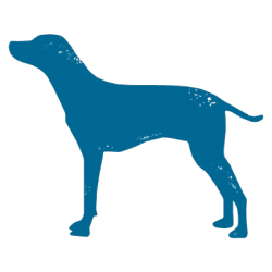 page-icon-dog